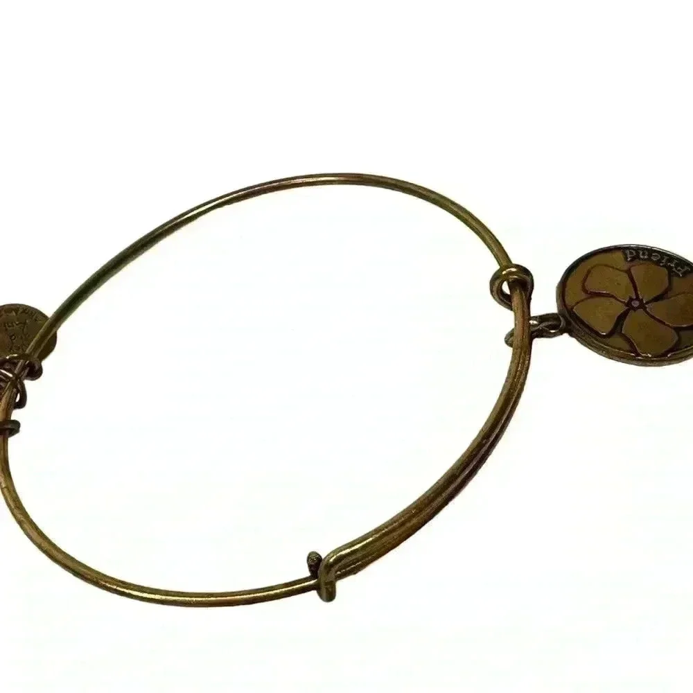 Alex and Ani Gold and silver charm bracelets women’s jewelry